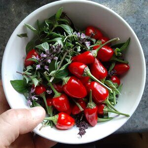 Meet your Posher, Posh